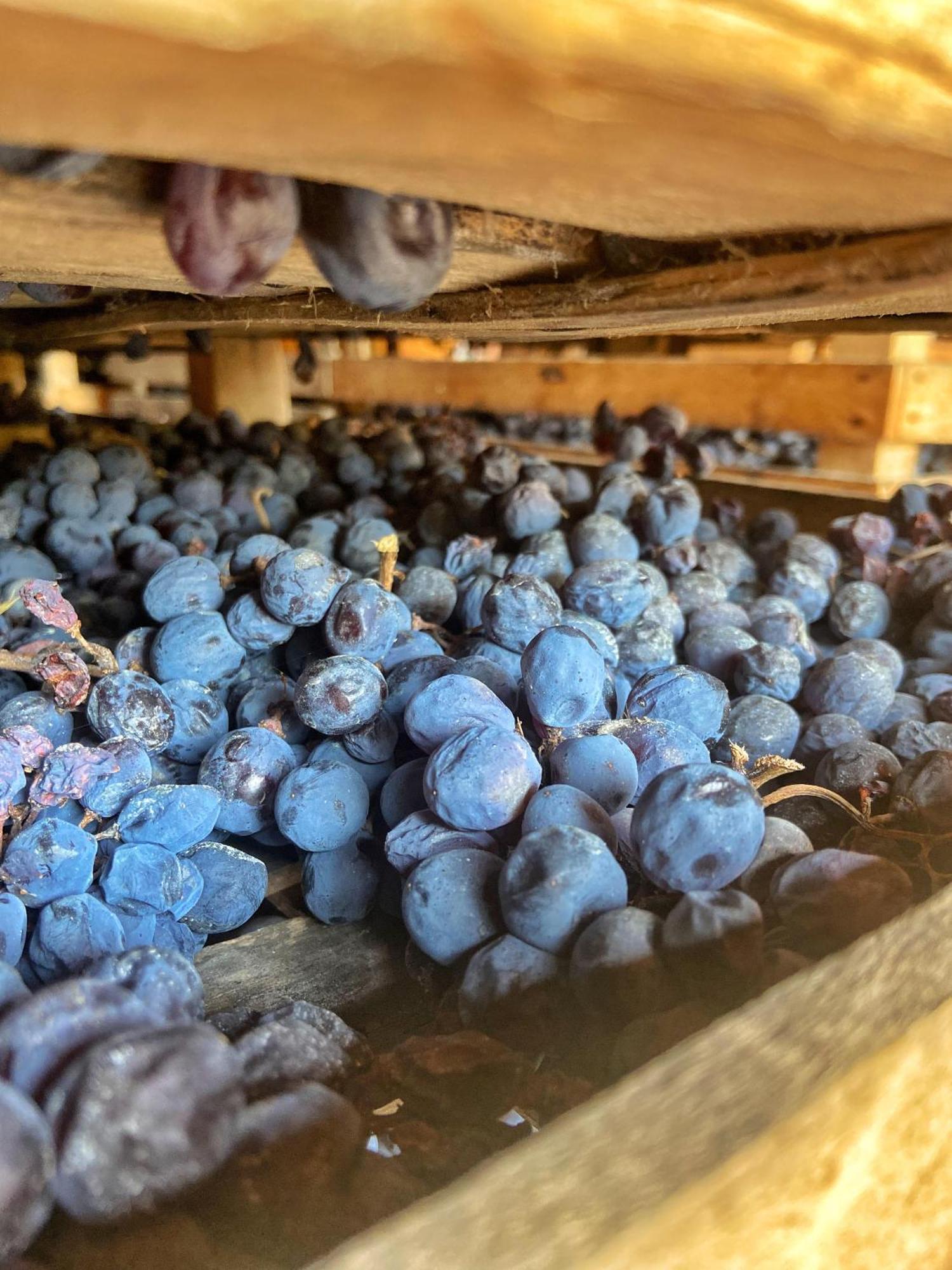 Villa La Vineria Di San Mattia à Vérone Extérieur photo