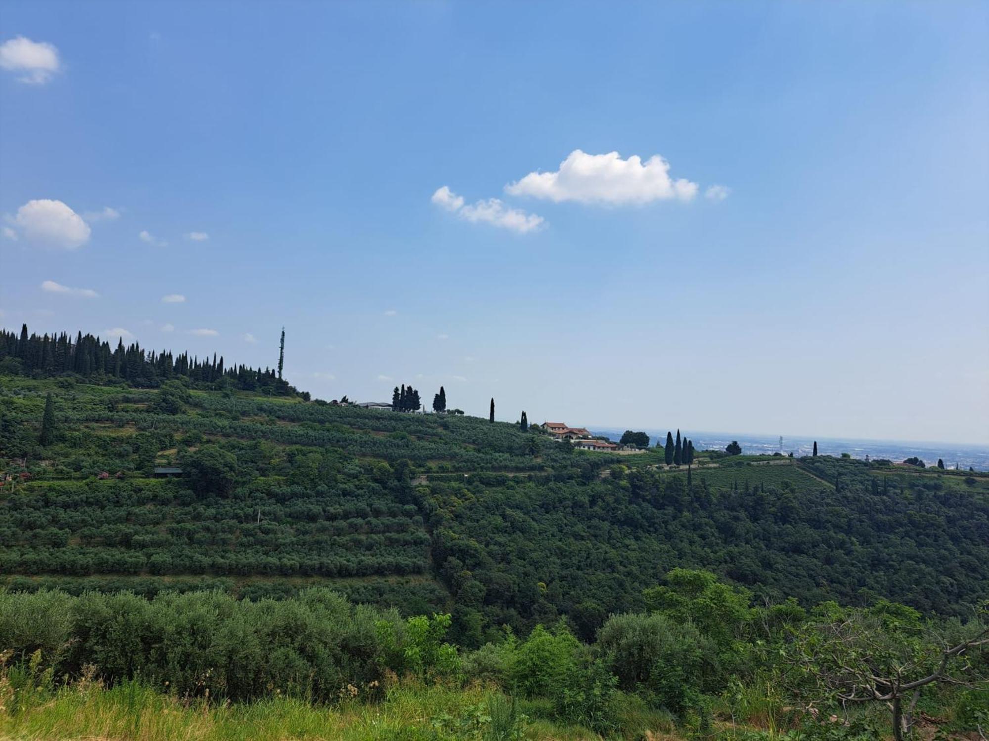 Villa La Vineria Di San Mattia à Vérone Chambre photo